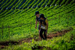 BIB: 1863
                            <button type="button" onclick="openModal(19161016)" class="btn btn-primary btn-sm float-right btn-popup" data-toggle="modal" data-target=".modal-high-quality">
                        <i class="fas fa-shopping-cart"></i> Add to Cart
                    </button>
                                            <button type="button" onclick="isThisMe(19161016, true)" class="btn btn-success btn-sm float-right btn-popup btn-isme hidden" data-toggle="tooltip" data-placement="bottom" title="นี่คือรูปของคุณใช่ไหม คลิกที่นี่เพื่อเอาเข้าอัลบั้ม">
                        <i class="fas fa-plus"></i> Add to album
                    </button>
                    <button type="button" onclick="isThisMe(19161016, false)" class="btn btn-warning btn-sm float-right btn-popup btn-isnotme hidden">
                        <i class="fas fa-ban"></i> Remove from album
                    </button>